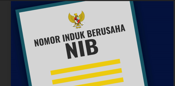 Risiko Usaha yang Tidak Memiliki NIB